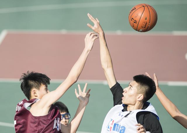 互换娇妻爽文100系列视频